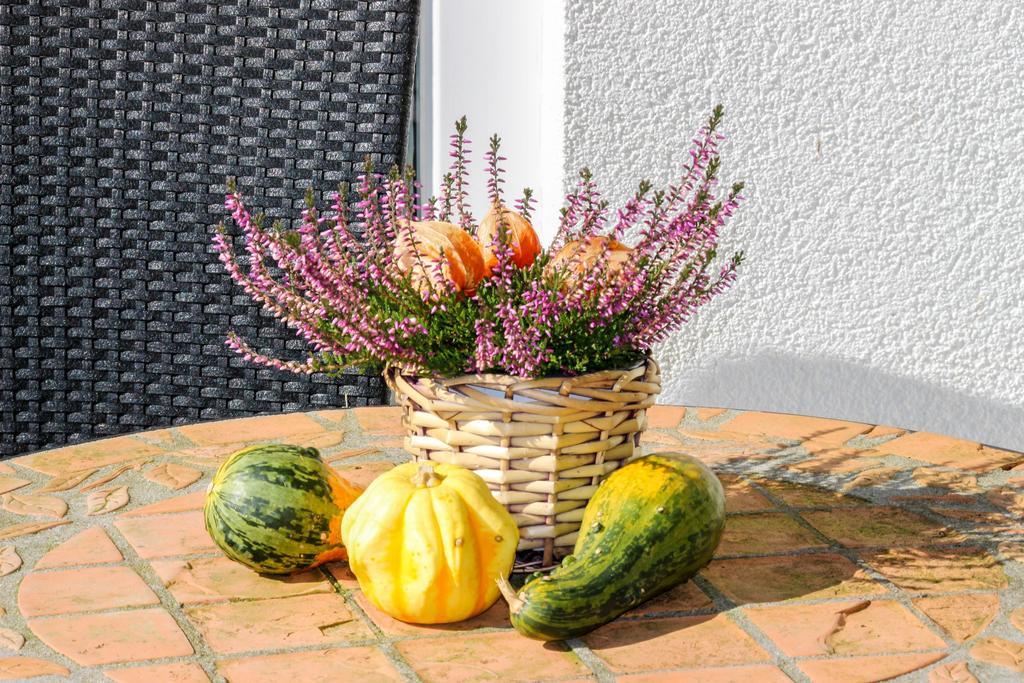 Apartment Nature & Friends Пизендорф Экстерьер фото